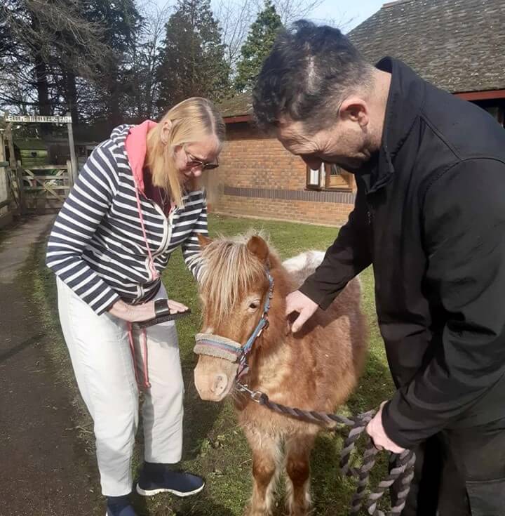 Broadwater Lodge - Broadwater pony visit