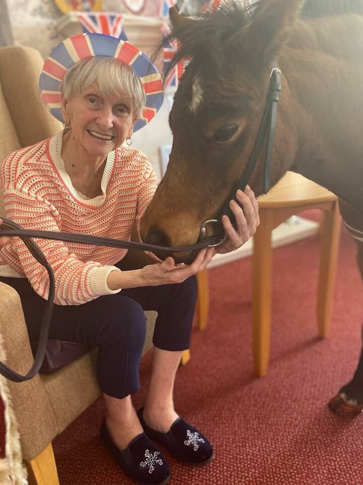 Cheviot Court - cheviot court pony visit